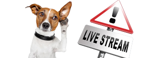 Listen Live